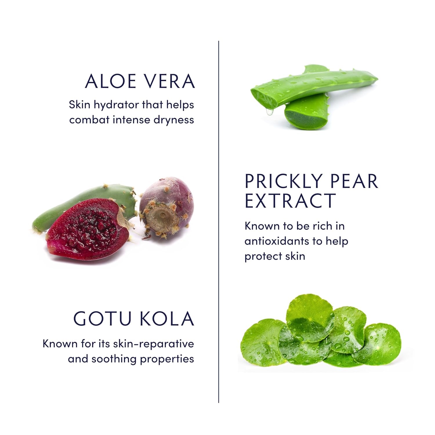 Aloe Vera Replenishing Gel Mask, Hydrating Face Mask Rich in Antioxidants, Cooling Facial Mask to Calm Redness & Soothe Sensitive Skin, 1.69 Fl Oz