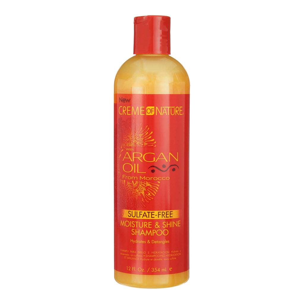 (2 Pack)  Argan Oil Moisture & Shine Shampoo, 12 Oz