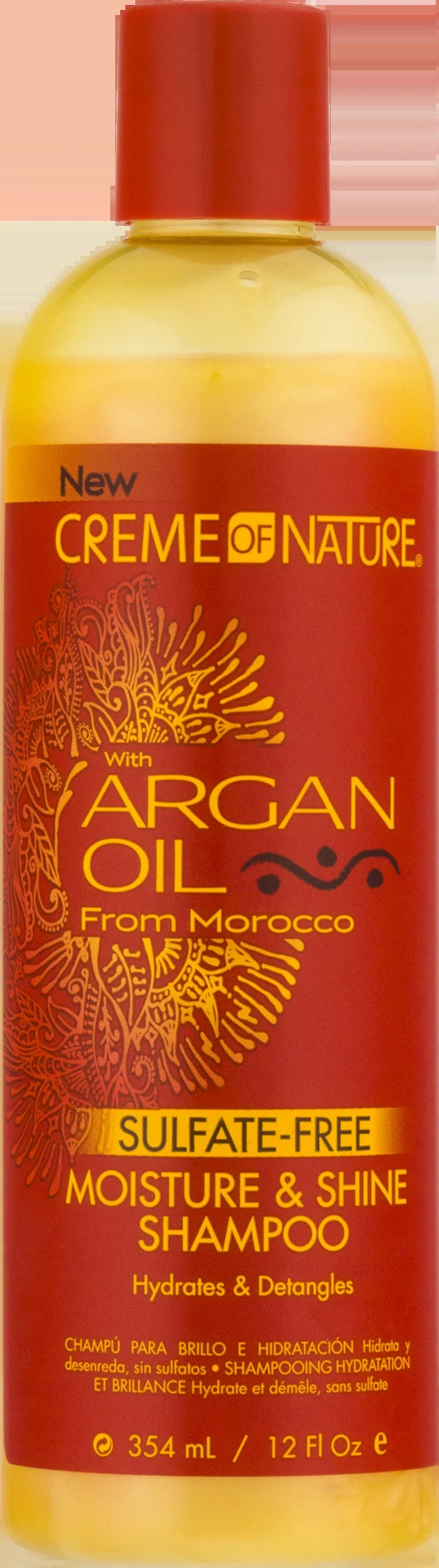 (2 Pack)  Argan Oil Moisture & Shine Shampoo, 12 Oz