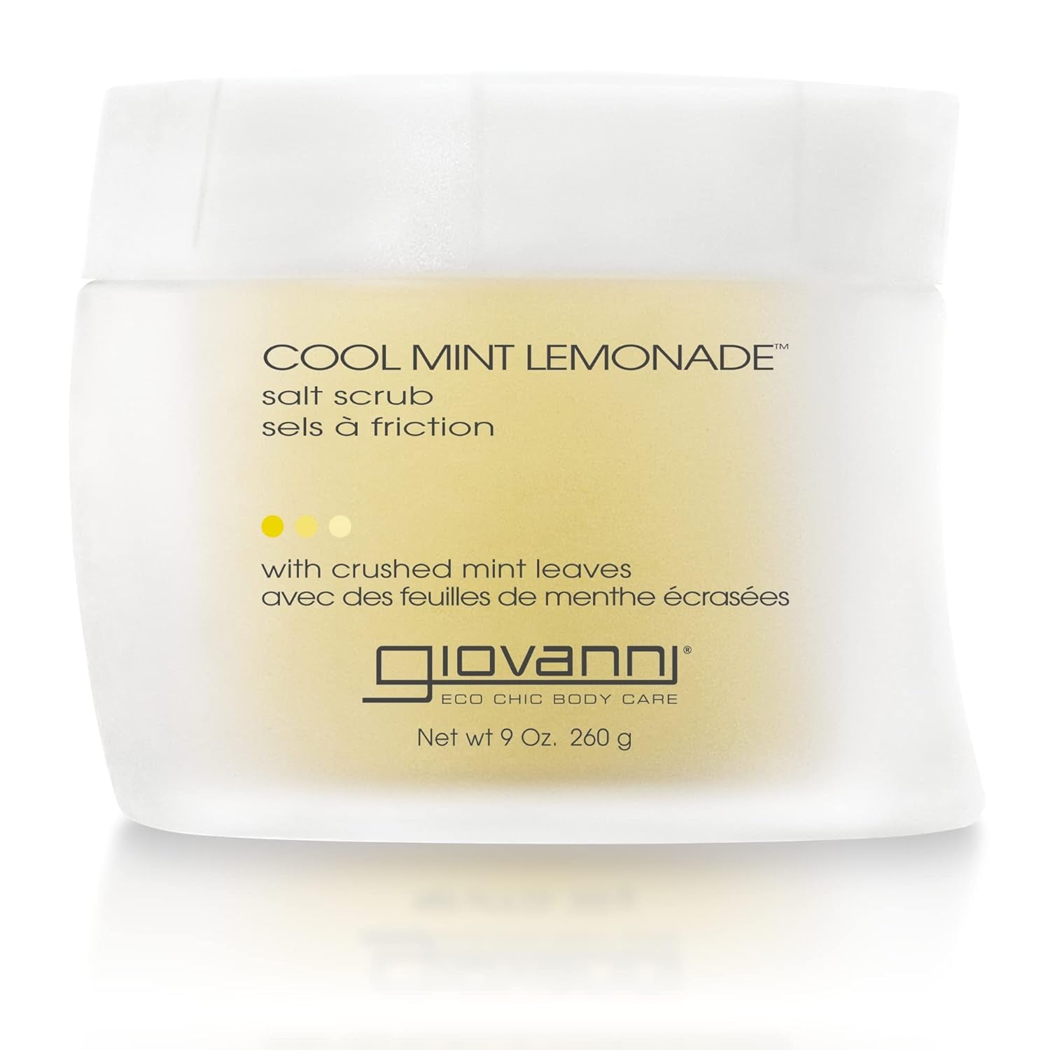 Cool Mint Lemonade Salt Scrub - Salt Based Body Scrub, Gentle Body Exfoliant with Crushed Mint Leaves, Essential Oils, Aloe, Invigorating & Energizing Mint & Lemon Body Scrub - 9 Oz (1 Pack)