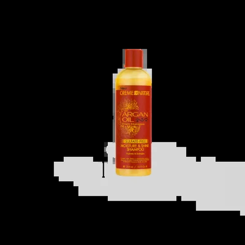 (2 Pack)  Argan Oil Moisture & Shine Shampoo, 12 Oz
